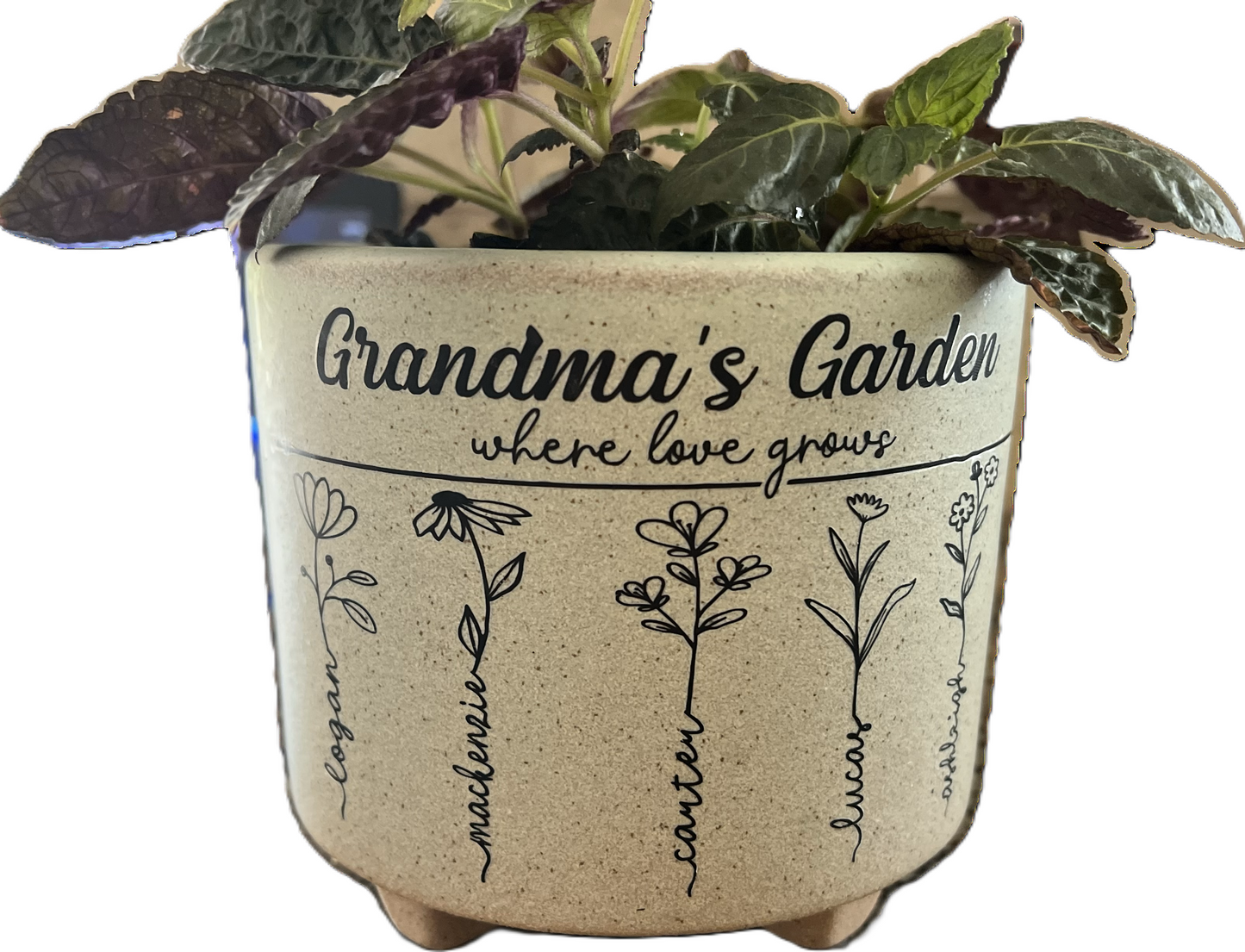 Personalize Flower Pot